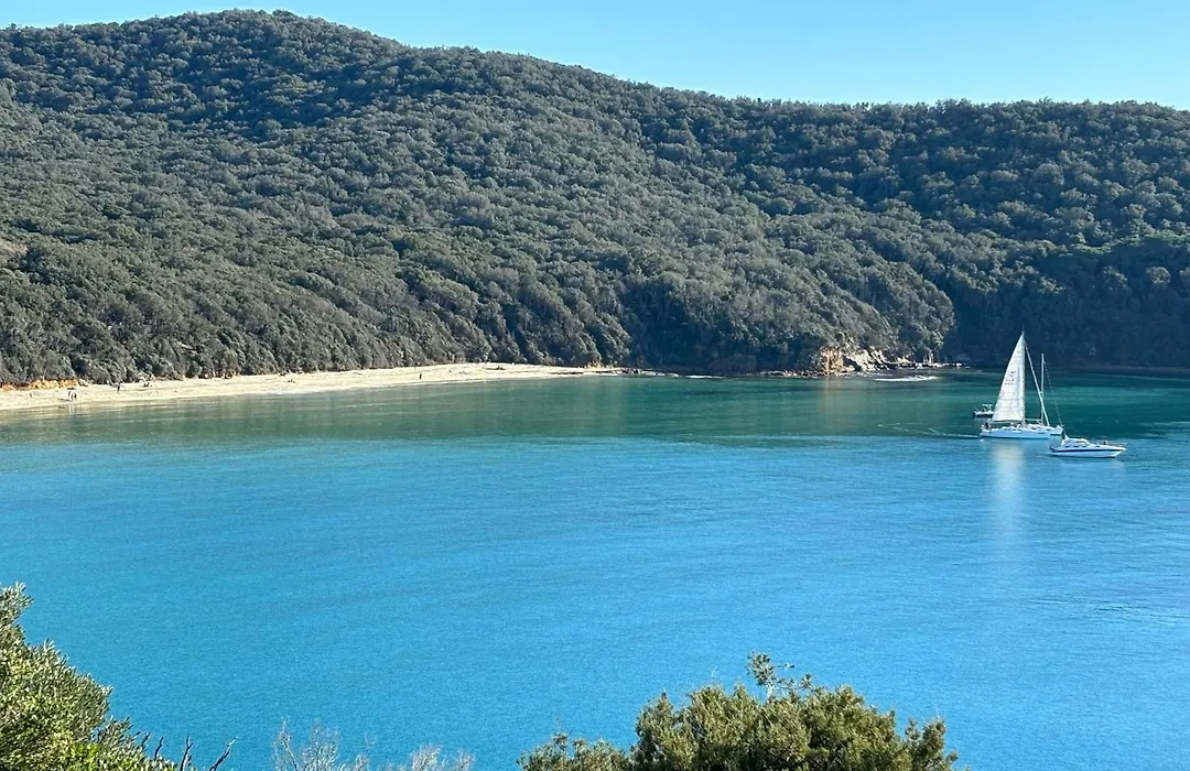 La Cianella-1